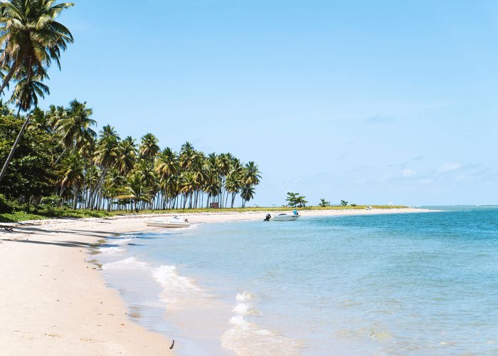 david-emrich-771911-unsplash.jpg david-emrich-771911-unsplash.jpg